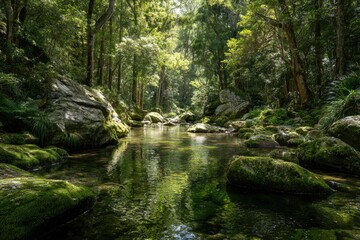 Sunlight streams through a lush forest, illuminating a tranquil river