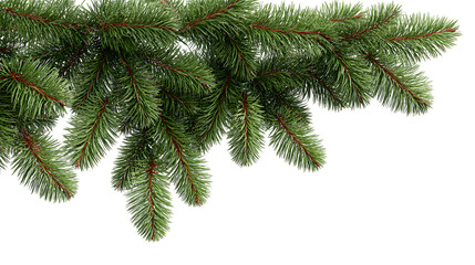 Christmas tree branches decoration isolated on white background, HD realistic