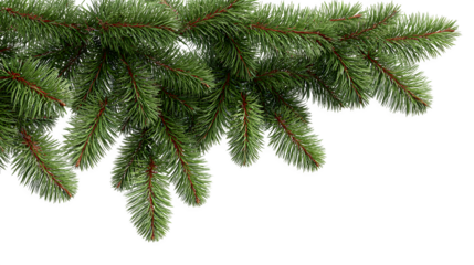 Christmas tree branches decoration isolated on white background, HD realistic