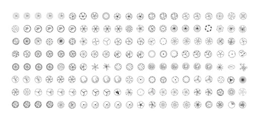 Top View Vector Icons of Trees and Plants for Floor Plan and Architectural Design Projects	