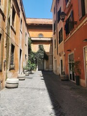 Atmospheric narrow alleyway in Rome, with traditional buildings, cobblestone pavement, and climbing greenery.