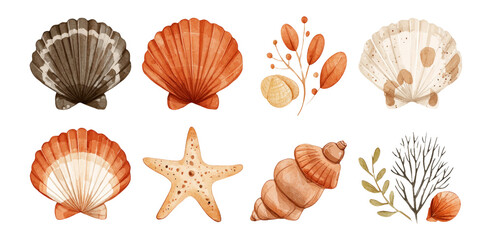 Colorful Coastal Shells and Marine Elements on Transparent Background