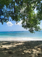 Vibrant green trees provide natural framing for a stunning tropical beach with brilliant turquoise water and blue skies