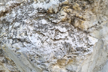 Natural Limestone Rock Texture for Background and Design Projects