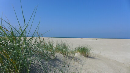 Strand Dünen auf Fanø, Sören Jessens Sand, Dänemark,