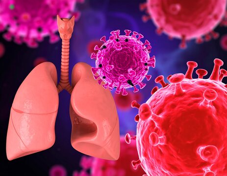 3D model of lungs and viruses