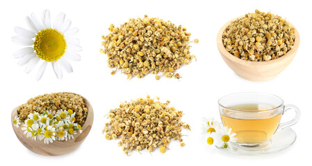 Dried and fresh chamomile flowers and herbal tea isolated on white, set
