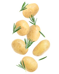 Fresh ripe potatoes and rosemary falling on white background