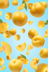 Fresh ripe cherry plums with green leaves falling on light blue gradient background