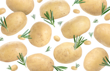 Fresh ripe potatoes and rosemary falling on white background