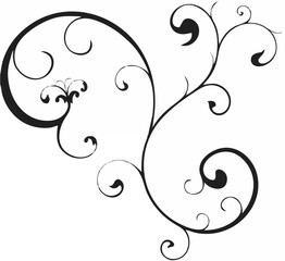 Swirl Scroll Vector Design.eps
