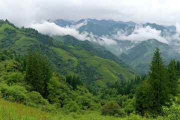 Fototapeta premium Misty mountain range with lush green valleys