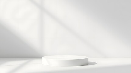 Modern White Living Room