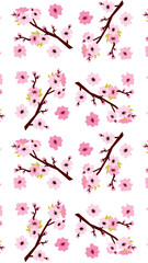 pink cherry blossom background