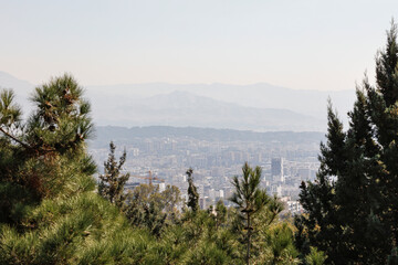 City view and green trees. Polluted urban air . 