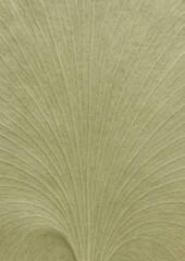 Textured leaf pattern background.