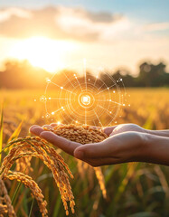 Human hand holds grains of rice in golden field at sunset, symbolizing agriculture and technology
