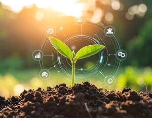 Young green seedling emerges from rich soil, symbolizing growth and sustainability, surrounded by digital icons representing