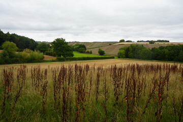 Obraz premium Beautiful autumn view of scenic rolling farmland and distant woodlands in Thurgarton, Nottinghamshire, England.