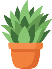 A vibrant green succulent plant in a simple terracotta pot isolated on a clean white background perfect for home decor and gardening themes