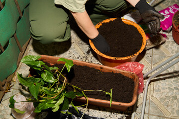 Gardening Essential Potting and Planting Practices for Maintaining Indoor Plants Effectively