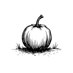 Black and white vintage illustration of a pumpkin with leaves on a white background perfect for fall themed projects and designs