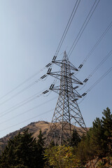High voltage electric pole among park trees in the city . blue sky