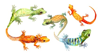 Naklejka premium Colorful wise gecko with teeth, watercolor illustration on a white background in a realistic style. Template. Hand drawing. Close-up. Clip art