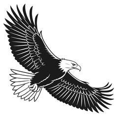 bald eagle vector
