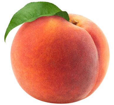 Fresh Peach Fruit Isolated on White Background
