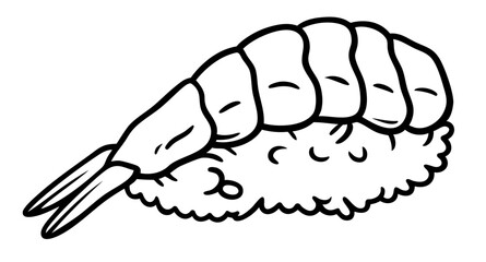 Japanese ebi nigiri sushi with rice and shrimp, traditional sushi of classic seafood dish in Asian cuisine