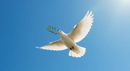 Obraz premium White Dove with Olive Branch in Sky – International Day of Peace and Freedom Concept 