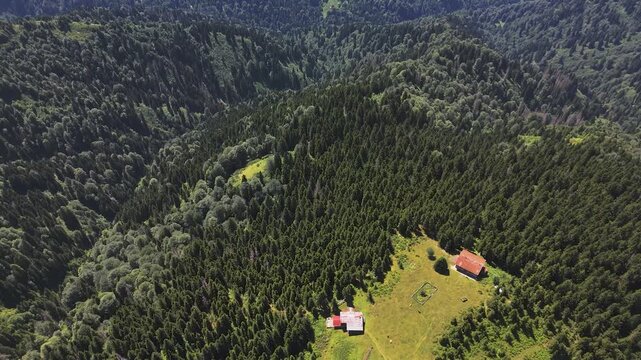Pokut Plateau showcasing colorful houses nestled amidst lush greenery with the majestic Kackar Mountains in the background