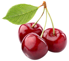 Fresh Red Cherry Isolated on White Background