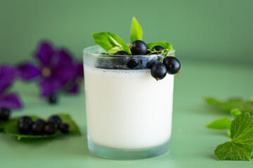 A glass of thick yogurt with currant berries for a healthy diet