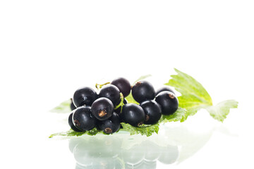 leaves and fruits ripe large blackcurrant berry isolated on white background
