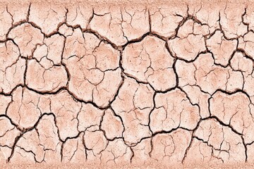 Cracked, light-pink earth, arid landscape