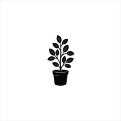 Obraz premium Tree on the tub
