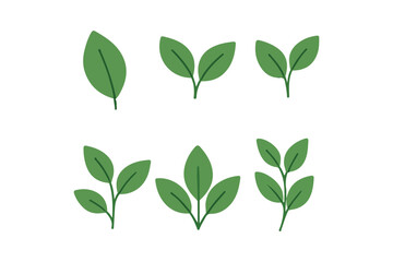 Collection of green leaf elements design for natural eco bio vegan labels