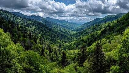 Obraz premium Panoramic View Of Lush Green Mountain Valley