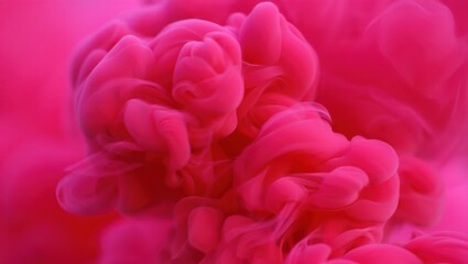 Fototapeta premium Vibrant pink flower petals up close macro photography beautiful natural detail soft texture
