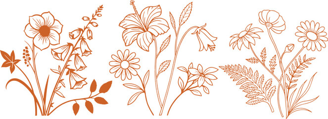 Brown hand drawn floral illustration with elegant wildflowers and leaves. Detailed botanical sketch perfect for invitations, stationery, and decorative design projects. Minimal line art flower collect