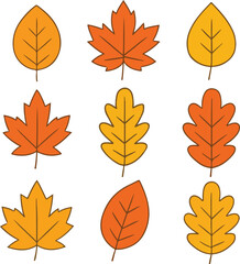Collection of colorful autumn leaves in various shapes and shades of orange and yellow