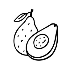 かわいい手描きのアボカドイメージイラスト