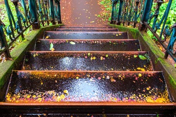 Wet, rusty stairs with fallen leaves