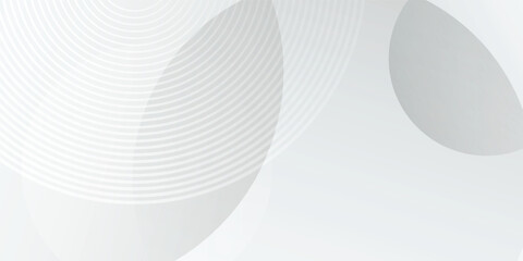White geometric abstract background overlap layer on bright space with lines effect decoration. Modern graphic design element circles style concepttechnology concept.