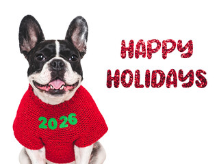 Happy Holidays. Puppy and congratulatory inscription. Merry Christmas and Happy New Year. Closeup,...