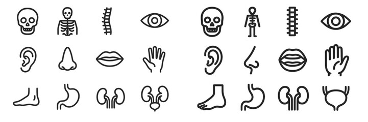 Collection of simple line drawings depicting human anatomy features like the skull, skeleton, organs, and sensory organs, suitable for educational use