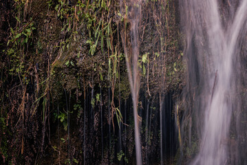 Detailed View of Water Flowing Over Mossy Cliff