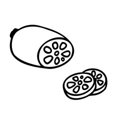 かわいい手描きのれんこんイメージイラスト © kikomai